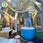 ZH270  PC dome tent bubble camping transparent starry sky dome tent waterproof hotel tent. - Image 2