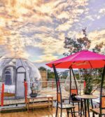 ZH350  PC dome tent bubble camping transparent starry sky dome tent waterproof hotel tent. - Image 4